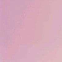 이욜로 프로필