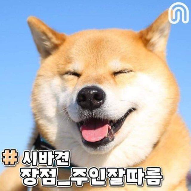 5현서 프로필