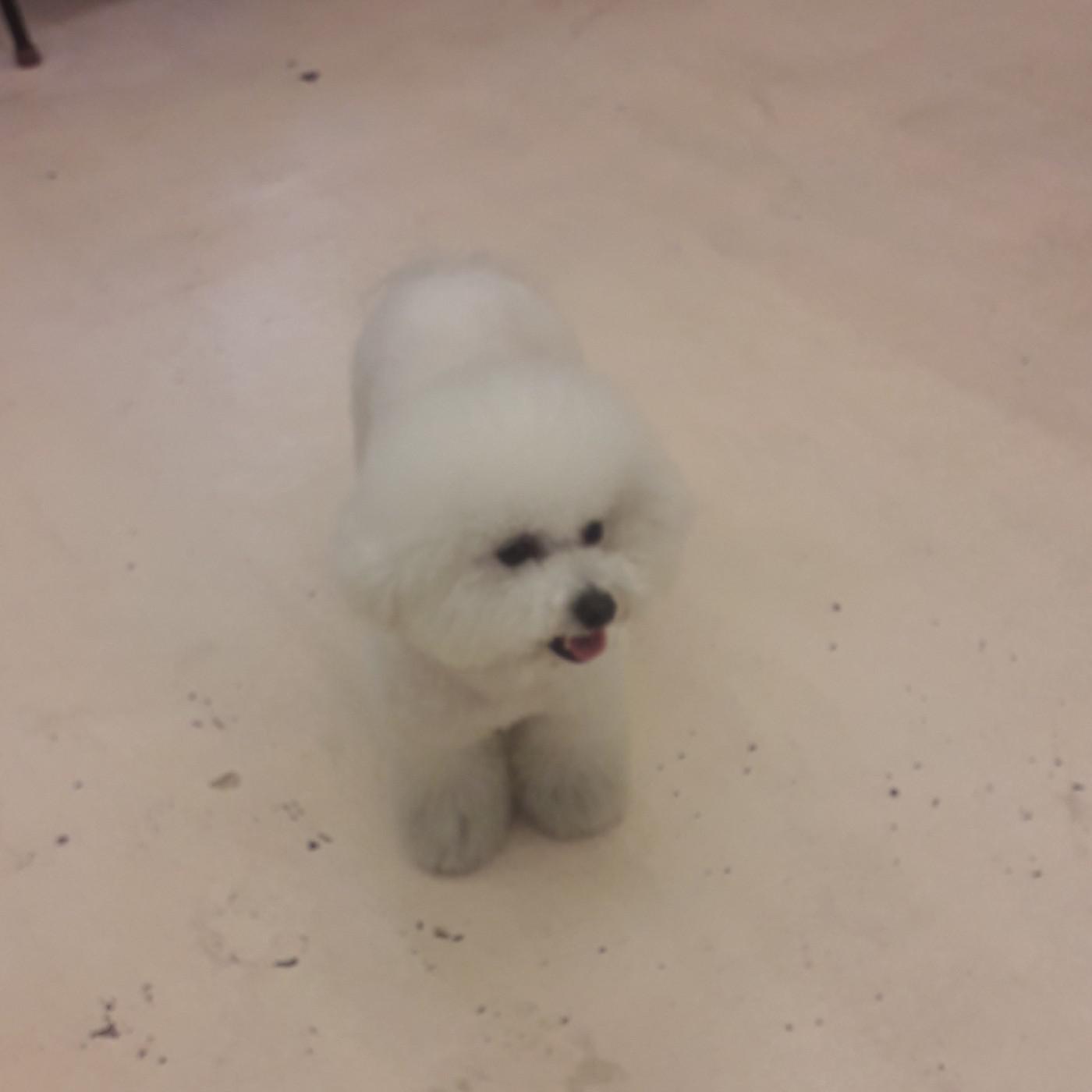 유빙순 프로필