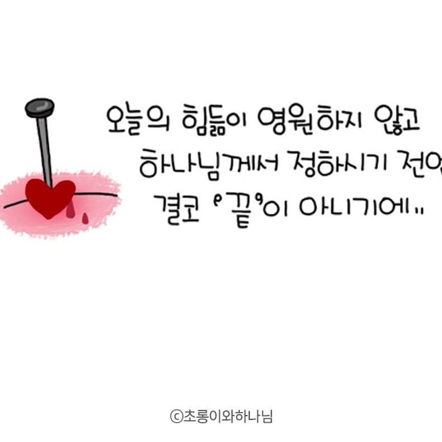 누과 프로필