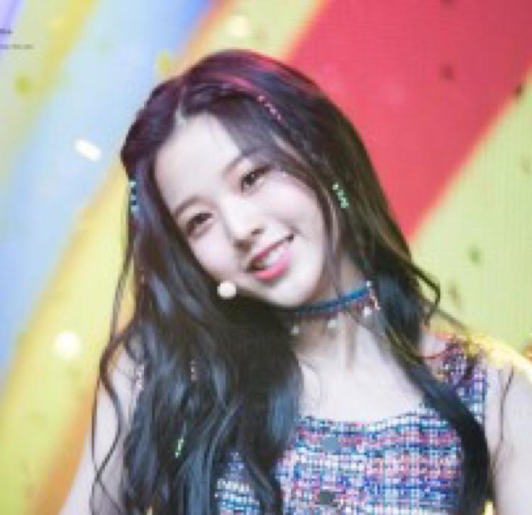 가안니 프로필