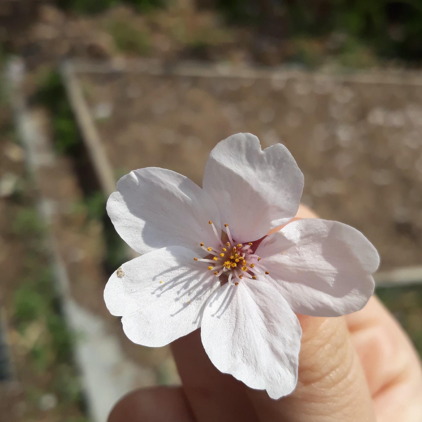 ssong14 프로필