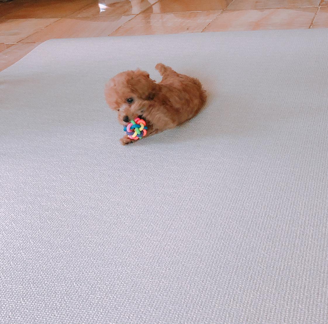 촉촉픽 프로필