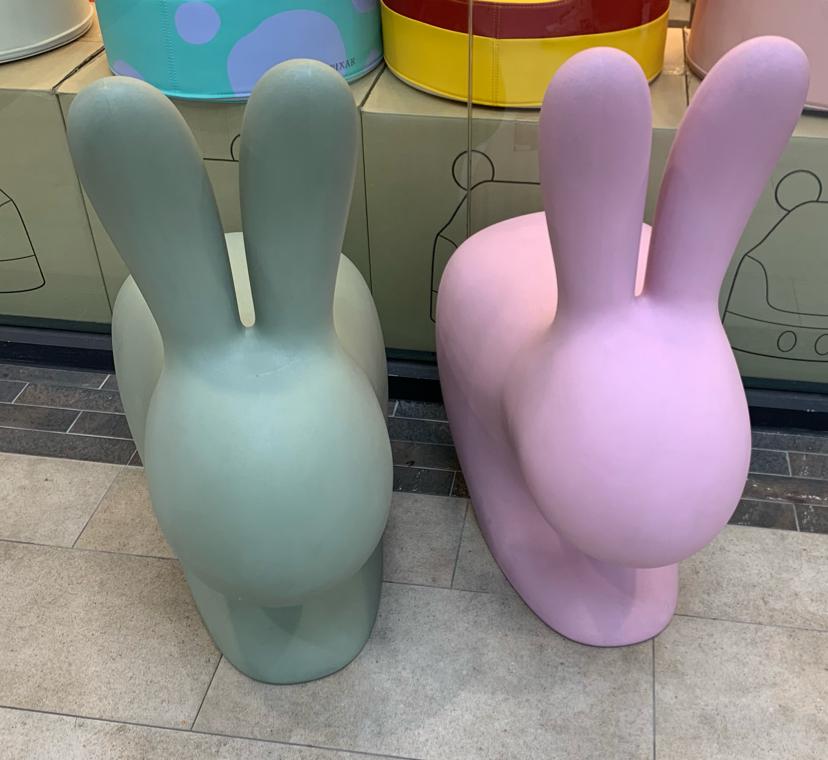 이쨔 프로필
