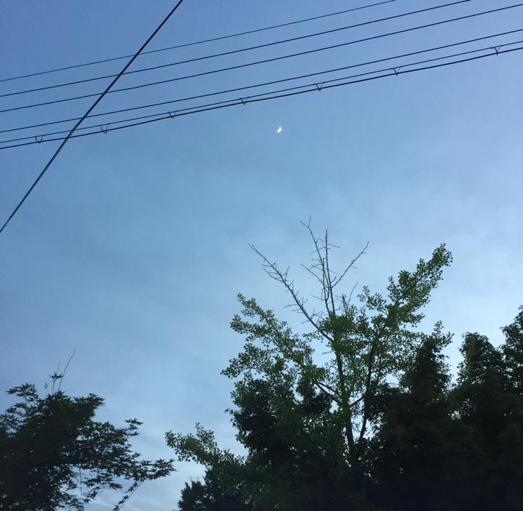 고햄짱 프로필