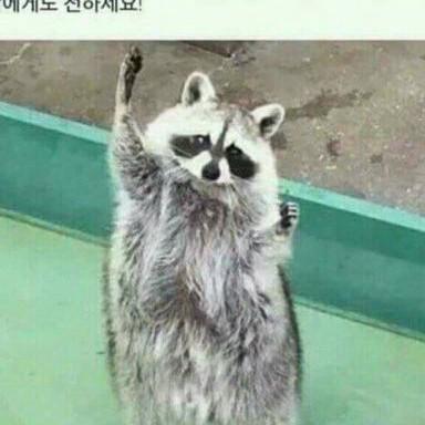 snail324 프로필