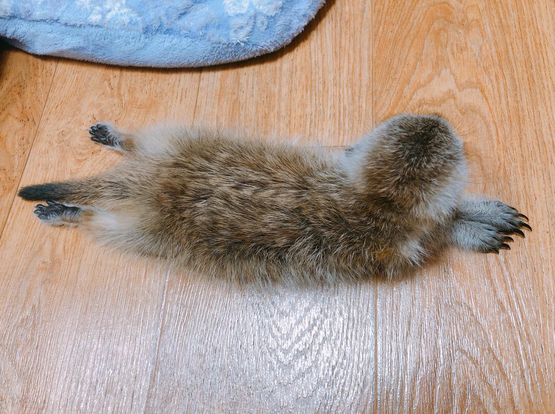 유요오오오옹 프로필