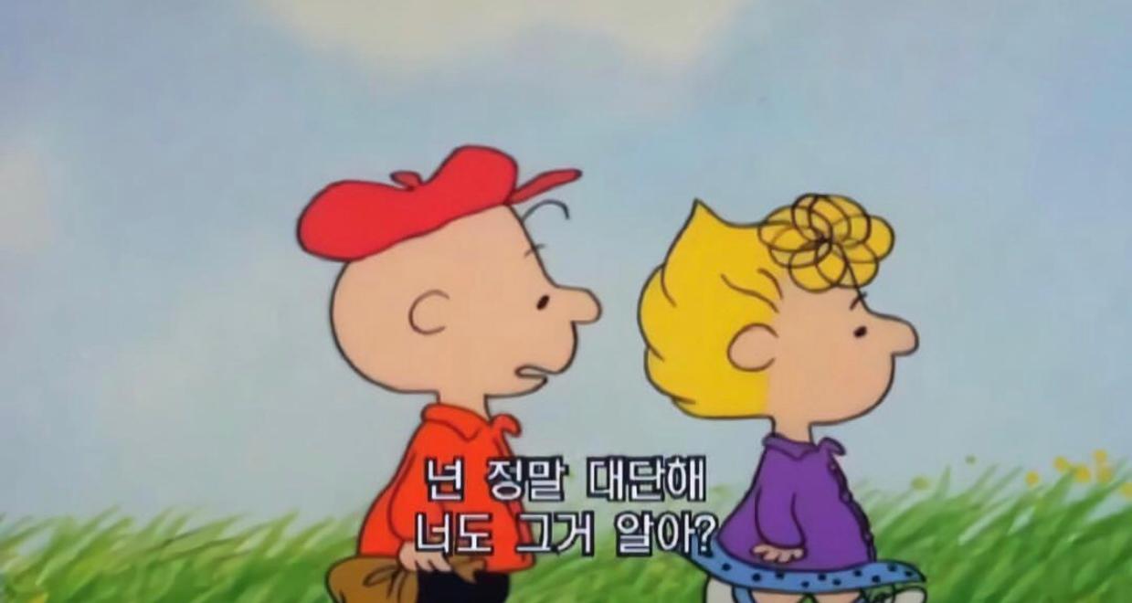 랑홍시 프로필