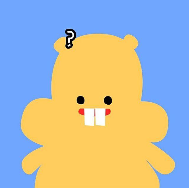 퐁연둥이 프로필