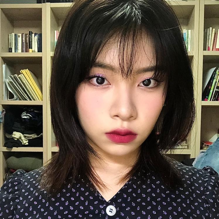 dolking 프로필