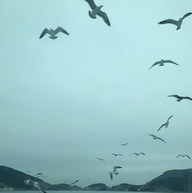 송유경 프로필