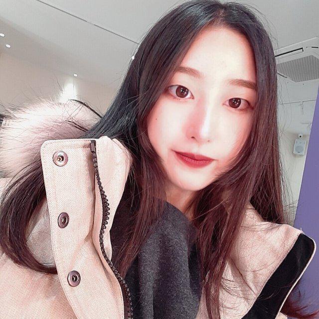 도손 프로필