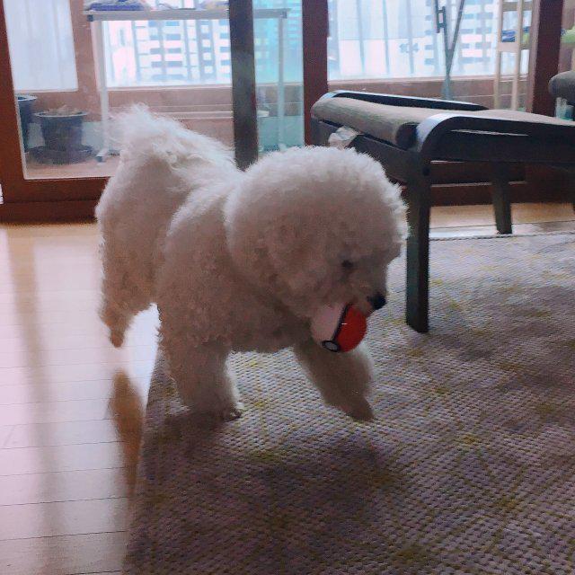 maan 프로필