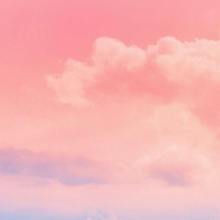 오보들 프로필