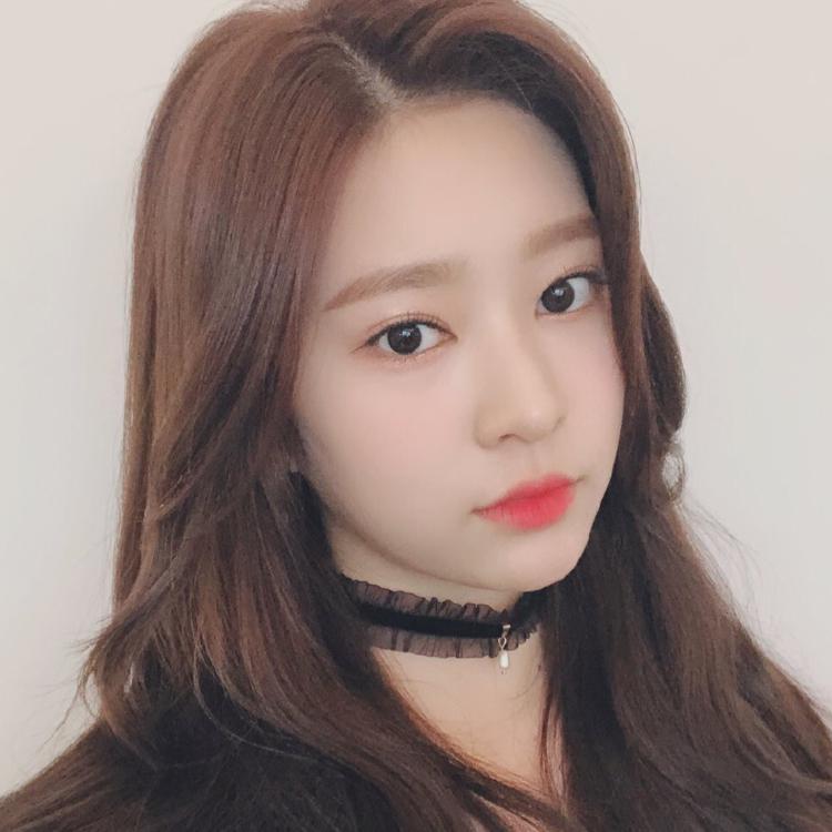 레인보우샤배트 프로필