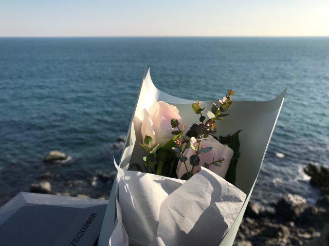 nappu 프로필