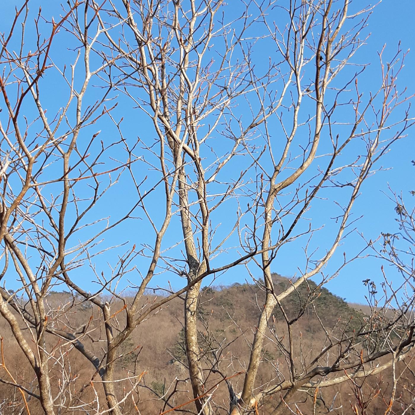 태씨 프로필