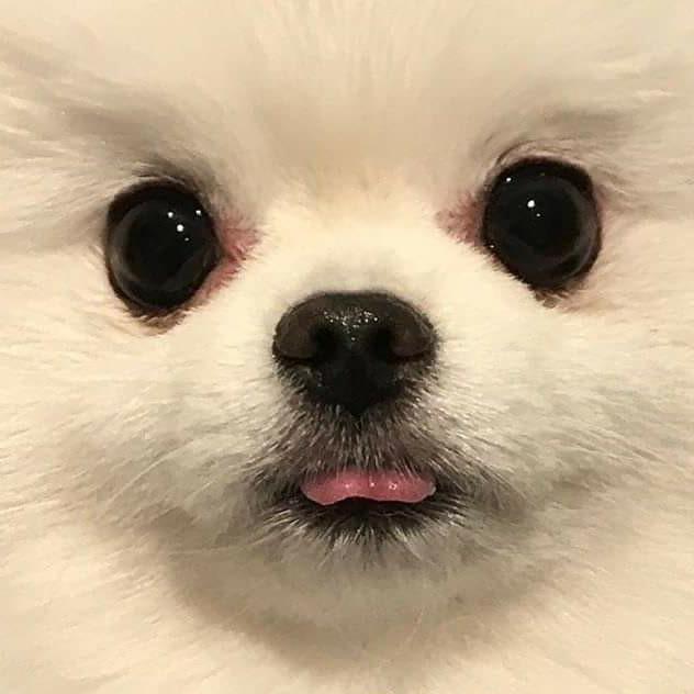 insta 프로필