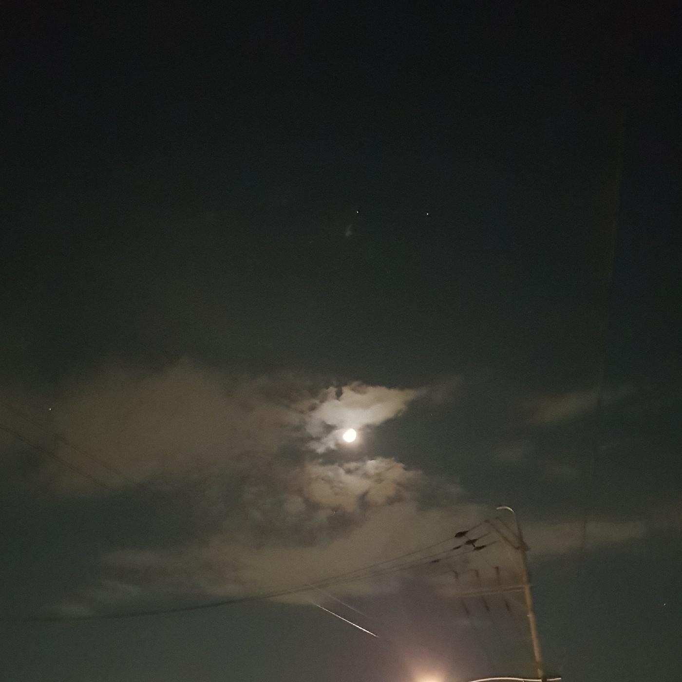 송쓰요 프로필