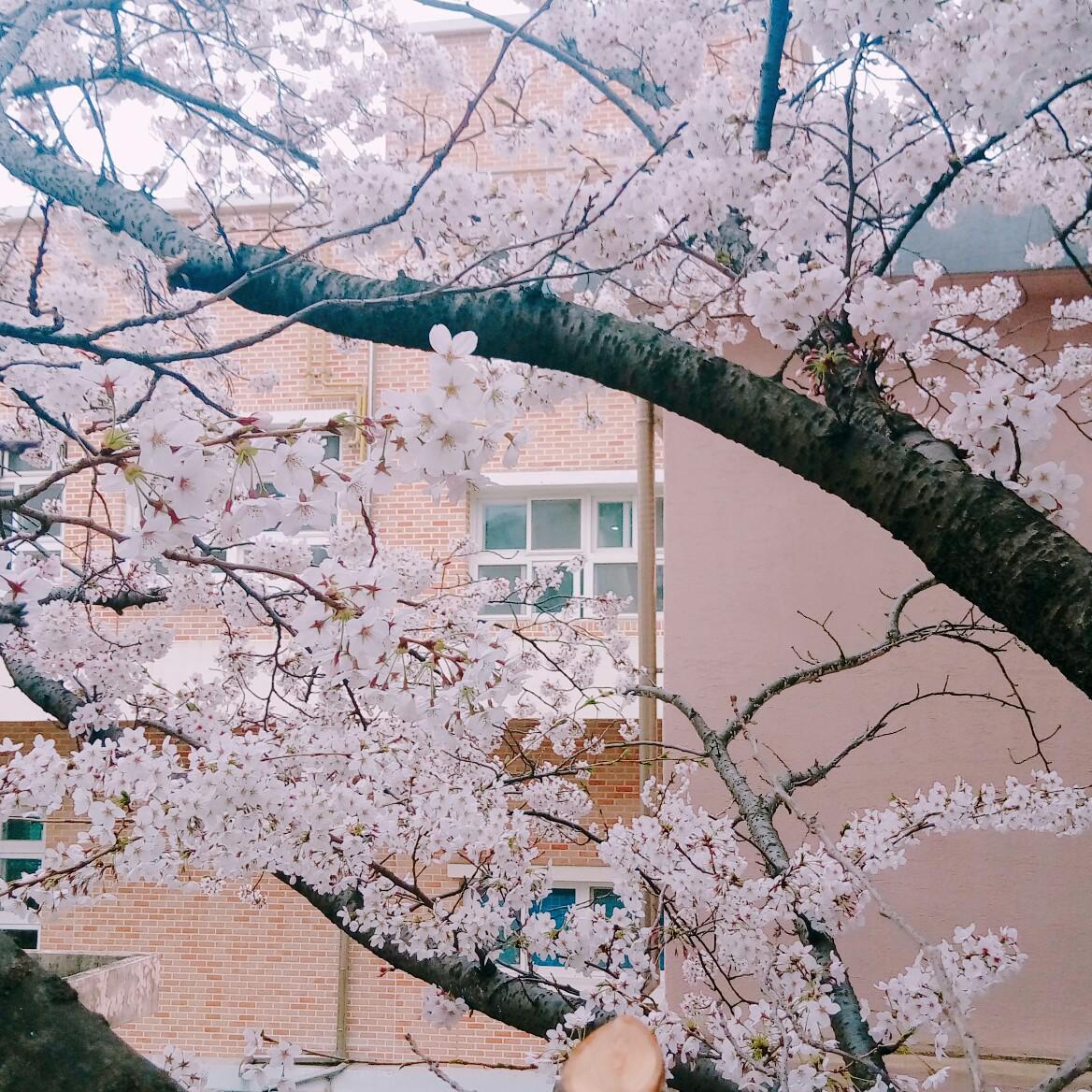 사랑하고싶어~ 프로필