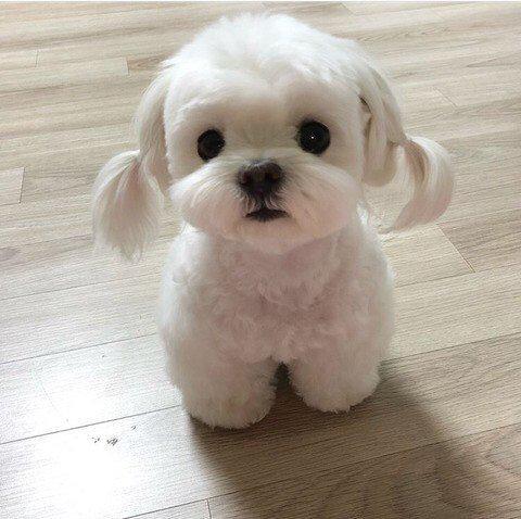 김서연이야 프로필