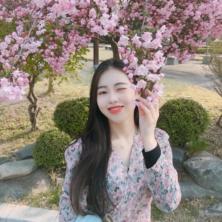ShineCasey 프로필