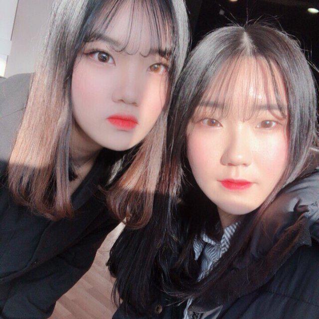 채용니 프로필