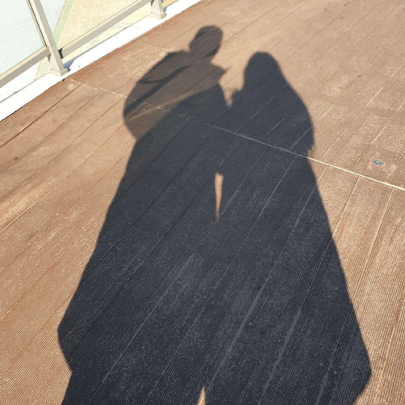쭈니미 프로필