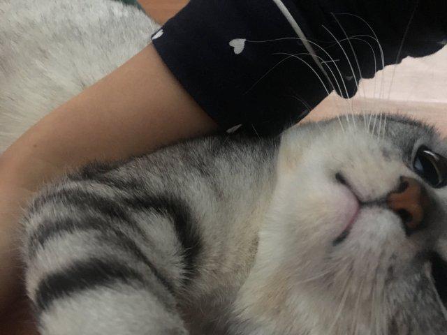 누리S2 프로필
