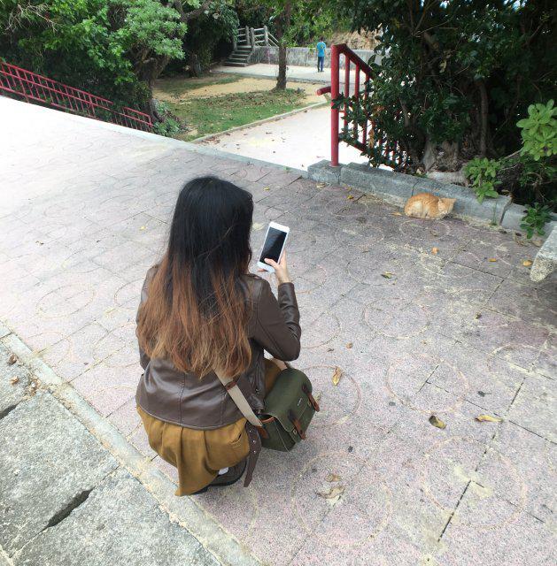 메요먀오 프로필