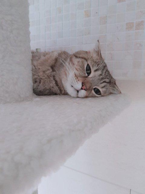 하ㅊ 프로필