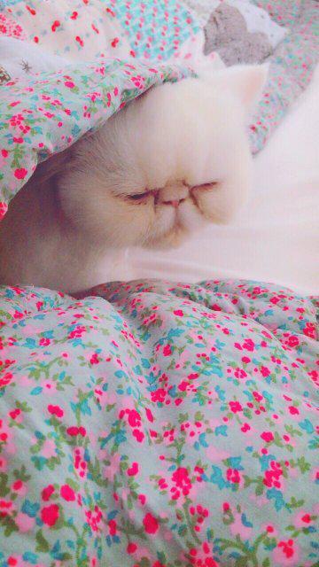 리뷰어 프로필