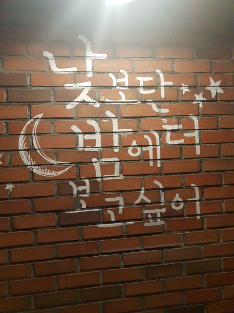 스키비 프로필