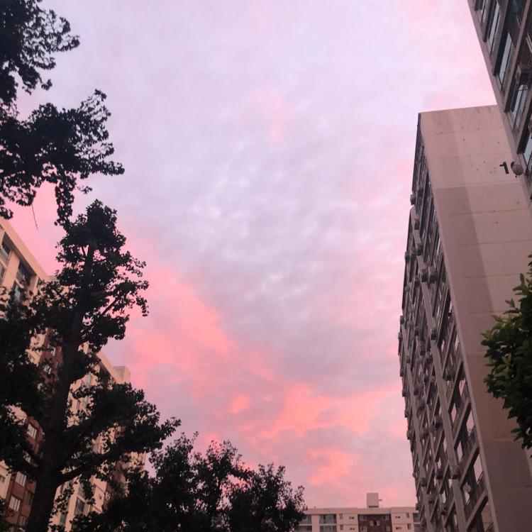 리뷰어 프로필