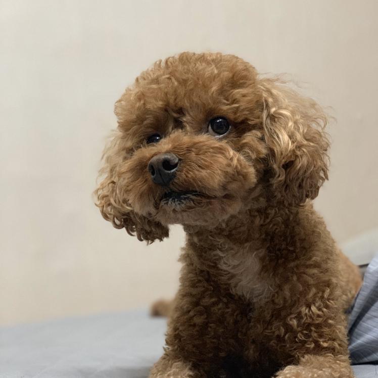 그니니니냄 프로필