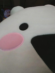 초코에빠진친칠라