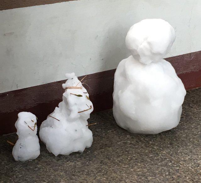 오늘하늘은 프로필