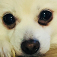 통키