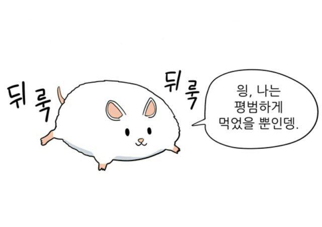 쇼라라 프로필