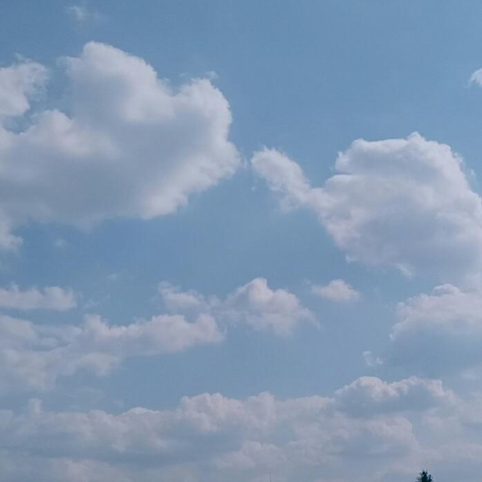 닝시 프로필