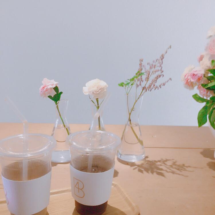 부라운콩콩이 프로필