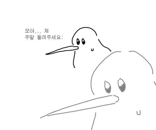 권영미 프로필