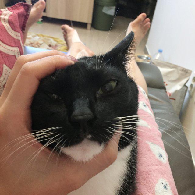 우고블리 프로필