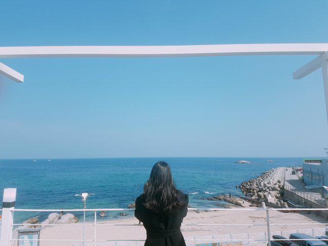 뉴뉴핑핑이 프로필