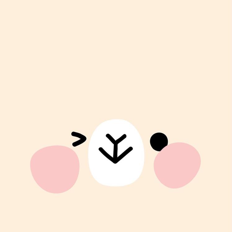 주황호야 프로필