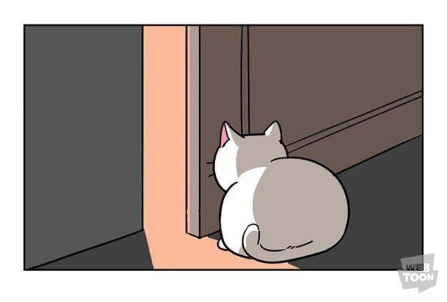 하얀꼬북이 프로필