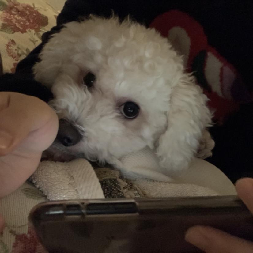 Jo 프로필