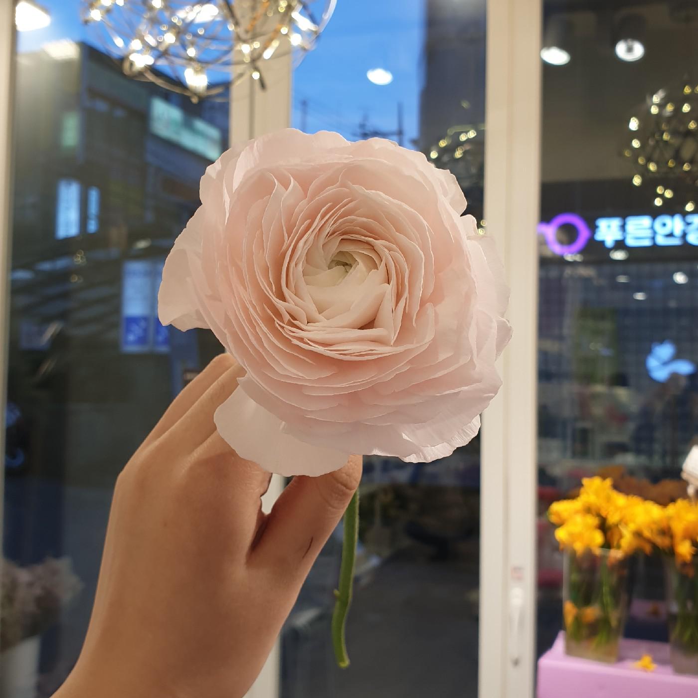 잇츠굿 프로필