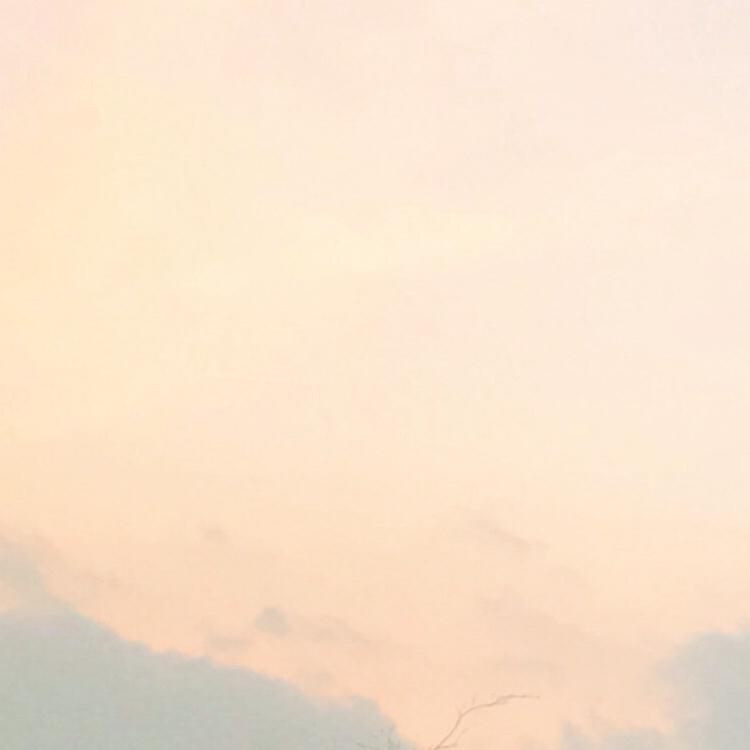 dbdb딥 프로필