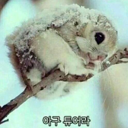 Da써보자화장품 프로필